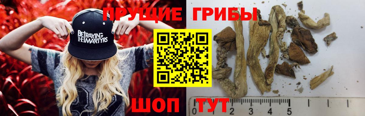 Псилоцибиновые грибы MAGIC MUSHROOMS Бердск